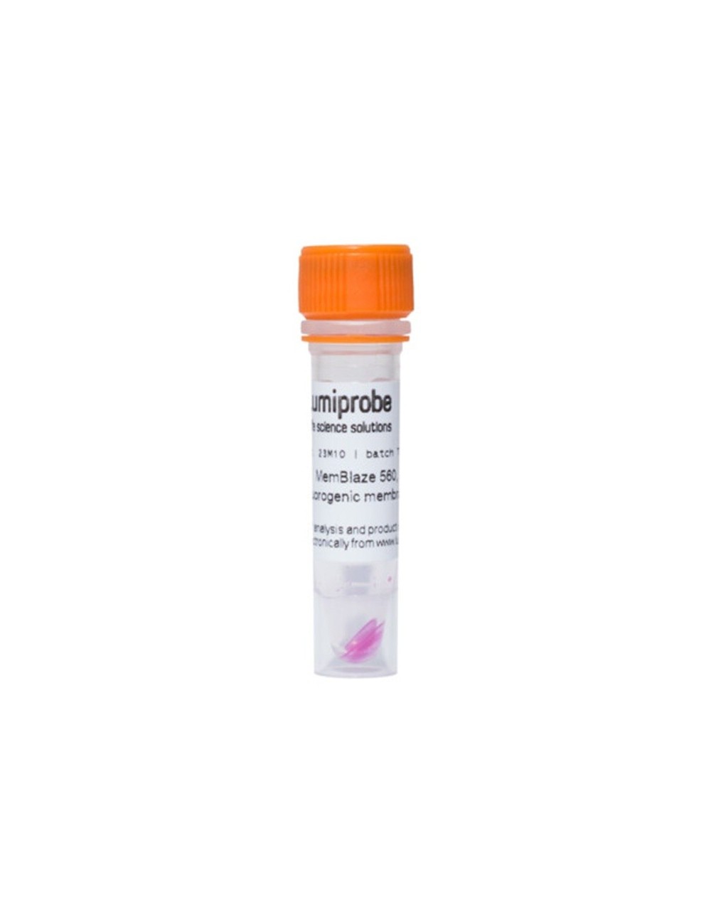 MemBlaze® 560, orage fluorescent membrane probe , 2 nmol