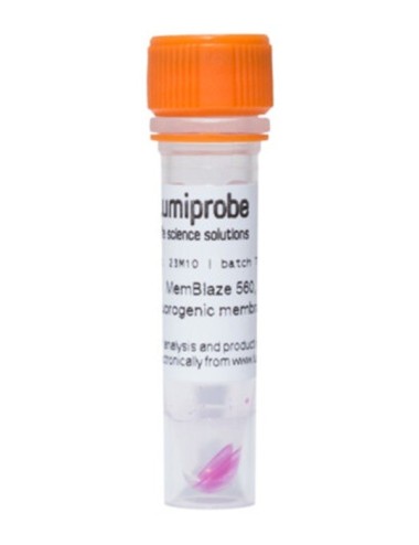 MemBlaze® 560, orage fluorescent membrane probe , 10 nmol