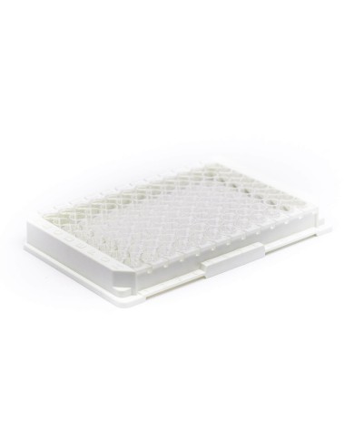 Strep-Tactin®XT coated...