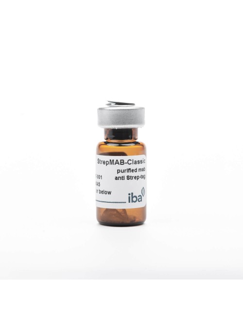 StrepMAB-Classic - 1 x 100 ug