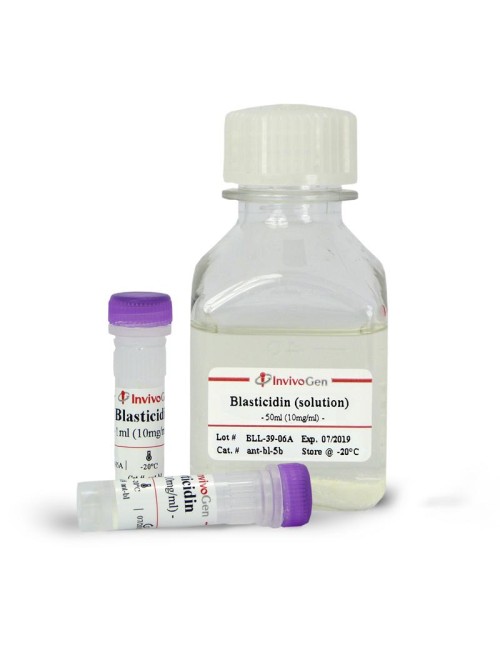 Blasticidin (solution) 100...