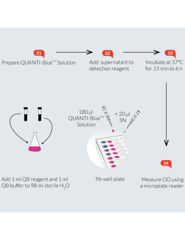 QUANTI-Blue™ Solution
