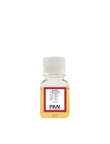 Seraclot Human, Type AB, male for cell culture