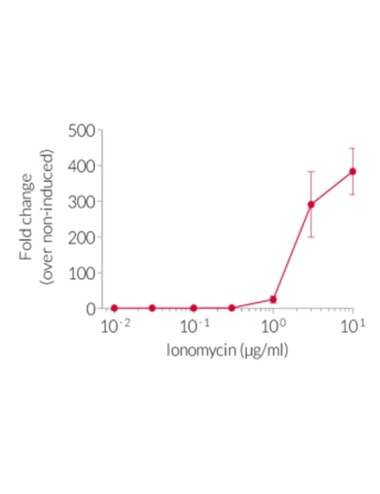 Ionomycin - 3 x 1 mg