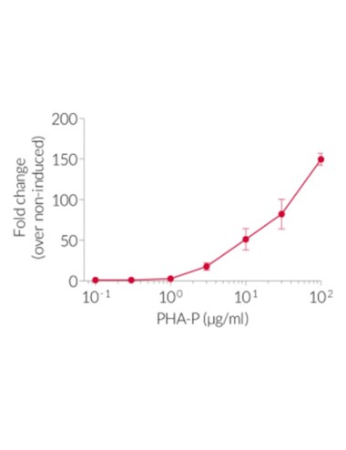 PHA-P - 2 x 10 mg