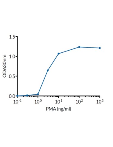 PMA
2 x 5 mg