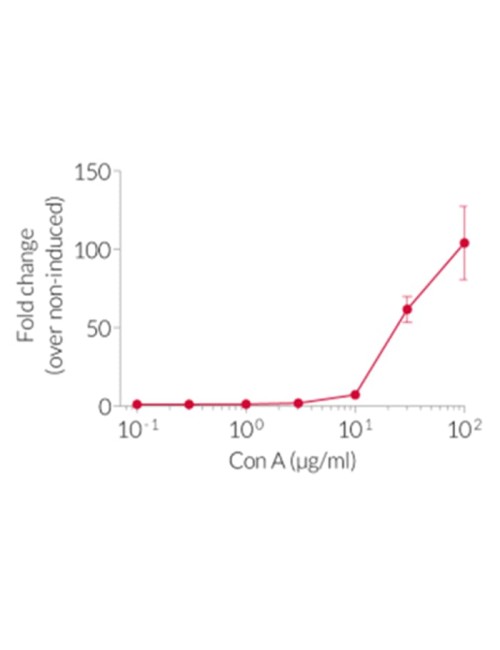 Concanavalin A de 100 mg