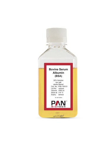 Bovine Serum Albumin (BSA)....