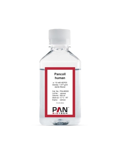 Pancoll human. w: 10mM...