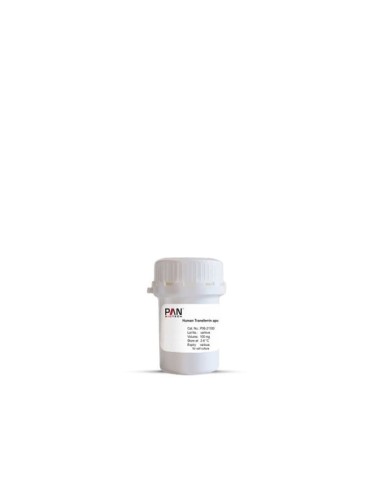 Human Transferrin apo / 100 mg