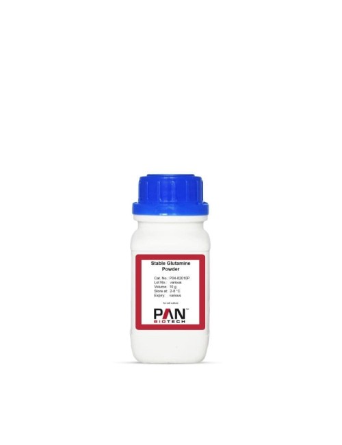 Glutamina estable En polvo (10 g)