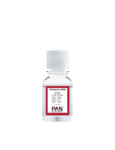 Kanamycin sulfate, 50 mg/ml