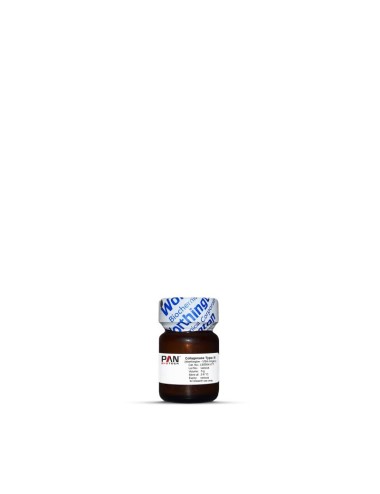 Collagenase type/Typ II...