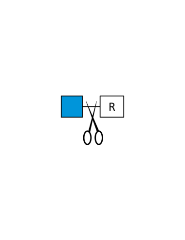 β-N-Acetylglucosaminidase - 500 units