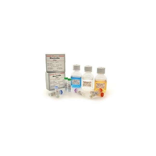 Puromycin (solution) de 100 mg (10 x 1 ml) - Invivogen﻿