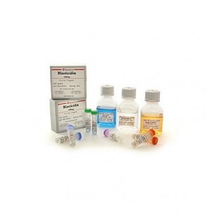 Puromycin (solution) de 500 mg (50 x 1 ml) - Invivogen