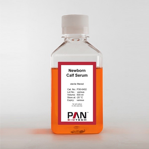 P30-0402 Calf Serum - Newborn, Virus and Mycoplasma tested Botella de 500 ml