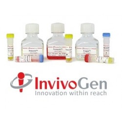 Anti-hPD-L1-mIgG1 InvivoFit