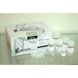 FAPDE 300-Plasmid DNA Extraction Mini Kit (300prep)