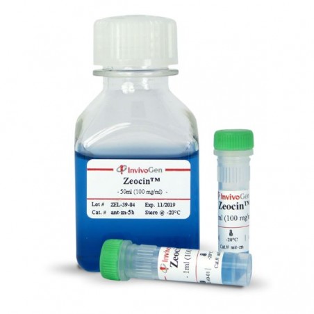 Zeocin (solution) de 5g (50...