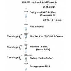 Favorprep Blood/Cultured...