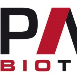 Human Serum