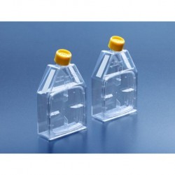 Tissue culture flask 115...