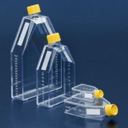Tissue culture flask 25 cm²...