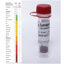 BDP 493/503 lipid stain, 25 mg