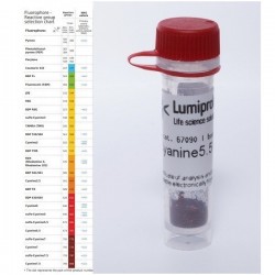 dsGreen for Real-Time PCR,...