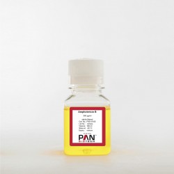 Amphotericin B, 250 µg/ml