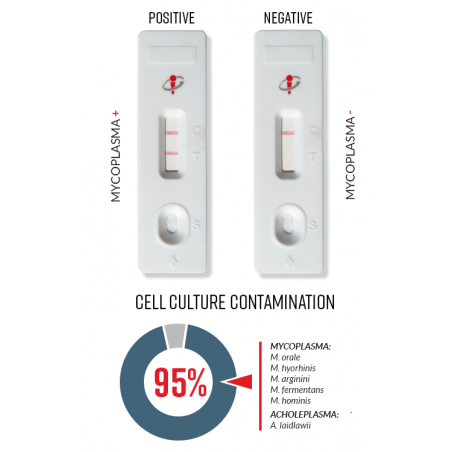 MycoStrip™ - Mycoplasma Detection