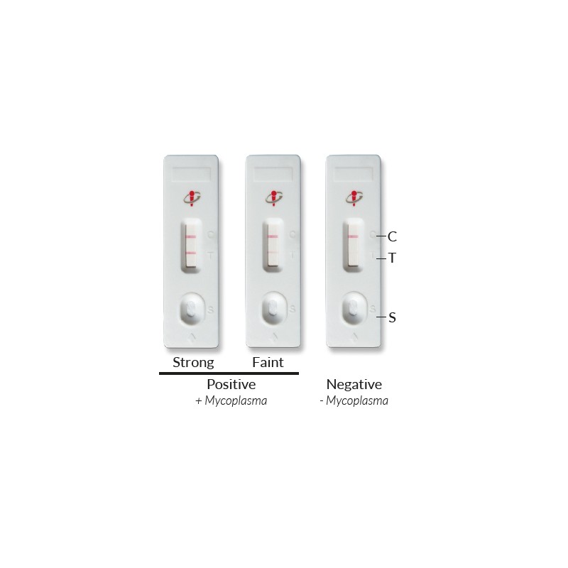 MycoStrip® 2.0 - Mycoplasma Detection Kit 50 tests