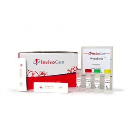 REF. rep-mys-10 MycoStrip™ - Mycoplasma Detection Kit