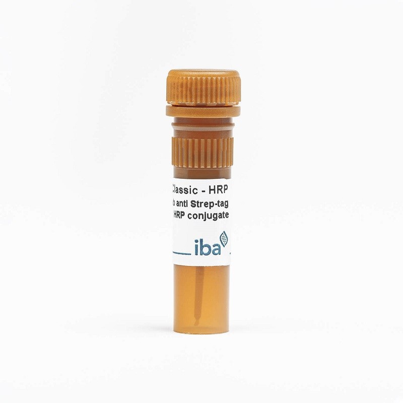 StrepMAB-Classic HRP conjugate
Conjugated monoclonal antibody to detect Strep-tag®II and Twin-Strep-tag® fusion proteins