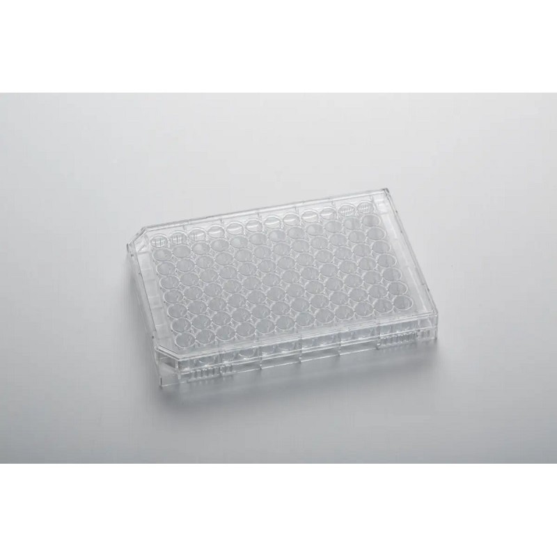 96-Well CytoOne® Plate, TC-Treated