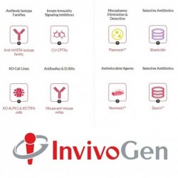 HEK-Lucia-hACE2-TMPRSS2 Cells