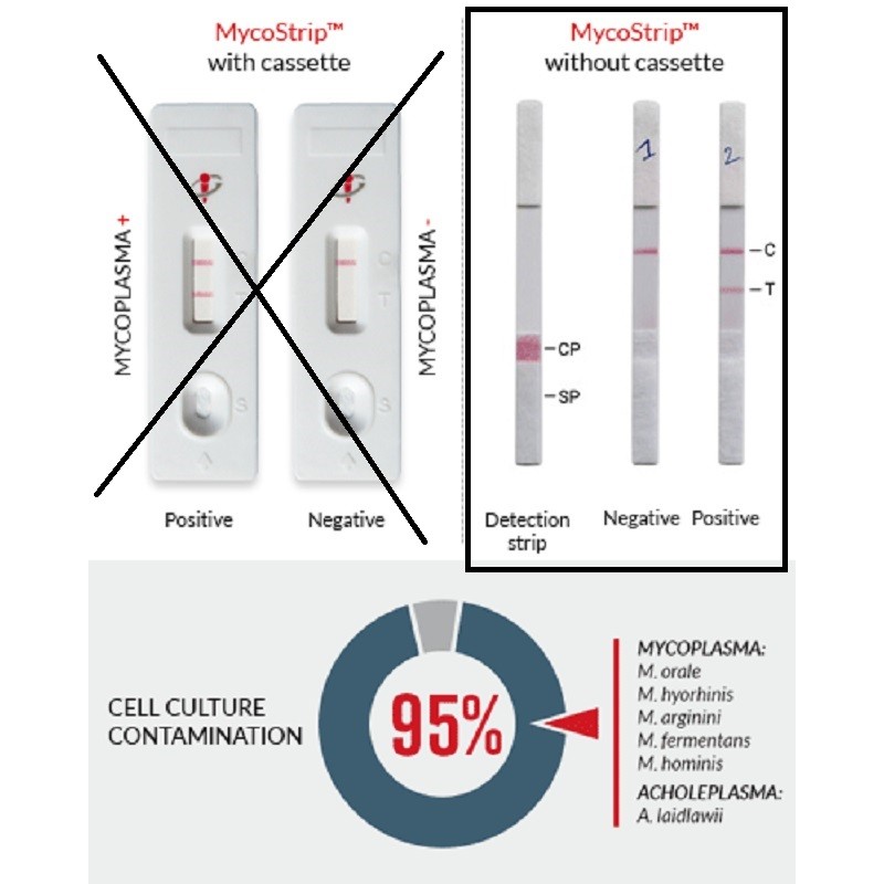MycoStrip™ - Mycoplasma Detection Kit 50 (sin cassette) 50 Tests