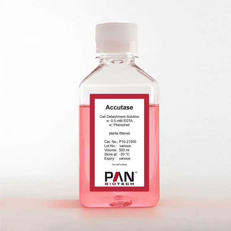 Accutase 500 ml Cell Detachment Solution,