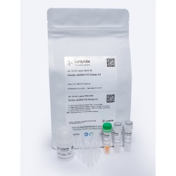 Kit para la cuantificación de ADN 100 Pruebas con tubos