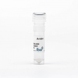 Avidin (50 mg)