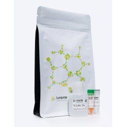 Kit para la medición cuantitativa de ADN de doble cadena en muestras en presencia de ARN