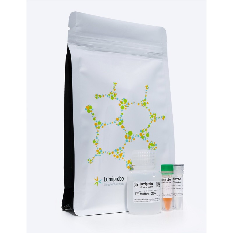 Kit para la medición cuantitativa de ADN de doble cadena en muestras en presencia de ARN